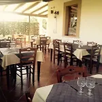 Fiori مينفي
