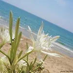 Fiori بيت ضيافة مينفي