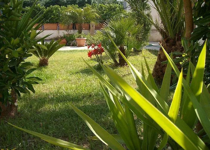 Casa de hóspedes Fiori 3*