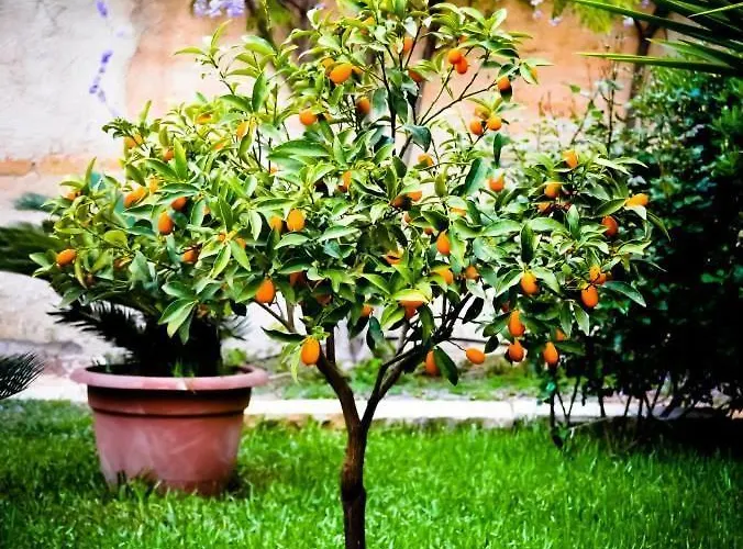 Casa de hóspedes Fiori 3*