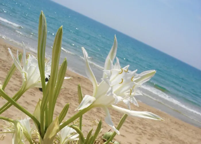 Fiori Casa de hóspedes Menfi